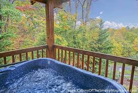 Check spelling or type a new query. Smokey Bear Cabins Cabin