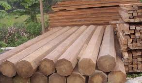 Sifat Dan Jenis Kayu Jati Kayu Jati Kayu Jenis