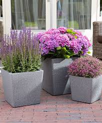 Iqbana Conical Grau 3er Set Vorgarten Ideen Bepflanzung Gartendekor