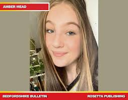 With your support Amber's hair is going to the Little Princess Trust