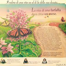 Scritto il 15.feb.20 in crescita personale, sesso e vita di coppia da servizio italiano di psicologia online 0 commenti. Quanto Dura Una Vita Di David L Rice L Angolino Di Ale