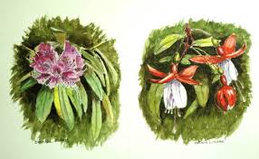 The striking and vibrant colours of the flowers when replicated on the canvas since the life of a flower is very short, they can live forever in flower paintings. How To Paint Flowers In Line And Wash