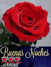 Maybe you would like to learn more about one of these? Bella Noches Gifs Tenor