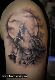 Chủ đề, phong cách tattoo này được ưa chuộng hàng đầu bởi phái nữ. Hinh Xam Soi Co Don Hinh XÄƒm Soi Wolf Tattoo Design Hinh XÄƒm Hoa VÄƒn