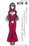 乙女はお姉さまに恋してる