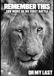 342 Motivational Inspirational Quotes About Success 149 Inspirational Quotes About Success Inspirational Quotes Motivation Lion Quotes