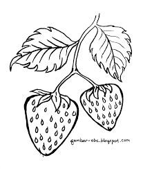Ragam sketsa mewarnai buat temanin harimu yang indah. Gambar Mewarnai Buah Strawberry Contoh Gambar Mewarnai