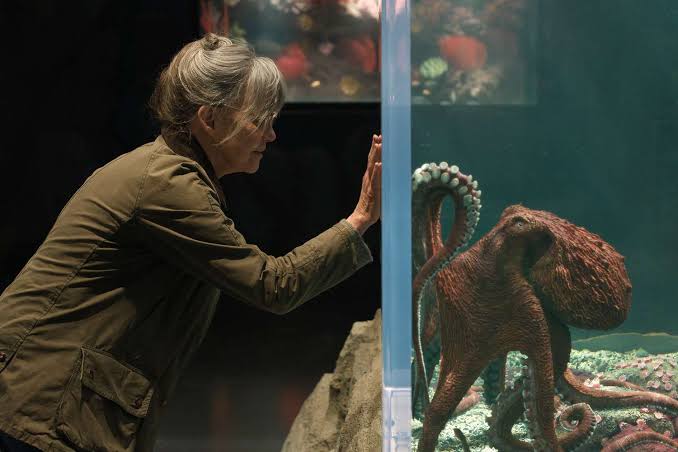 Remarkably Bright Creatures' Movie: All About the Netflix Adaptation