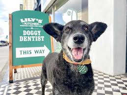 get a hollywoof smile at the lily s
