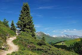 Temperatures between 14 and 22 degrees. Aktivitaten Rund Um Die Spina In Davos