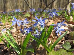 Maybe you would like to learn more about one of these? Ichnya National Nature Park Nature Reserve Fund Of Ukraine