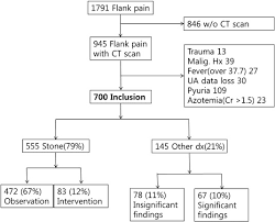 Image result for STONE Score