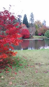 Sheffield park back in november