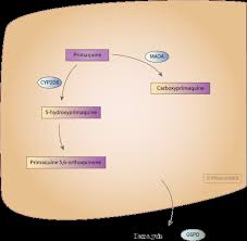 Image result for Primaquine