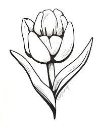 Tulip Marker Drawing Ii Flower Drawing Flower Sketches Trendy Flowers