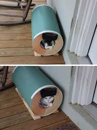 Outdoor Cat House Even Stray Cats Need Love Learn How To Make Cats Live A Happy Life Ozzi Cat Magazine Outdoor Cat House Cat House Diy Feral Cat House
