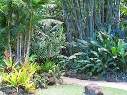 Tropical Landscaping Cairns Botanic Gardens Tropical Landscaping Tropical Garden Design Tropical Garden