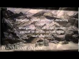 Tabalkon Aqua 3d Akvaryum Fon Akvaryum