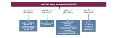Malignant pleural mesothelioma esmo clinical practice guidelines. Clinical Practice Living Guidelines Metastatic Non Small Cell Lung Cancer Esmo