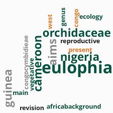 Image result for Eulophia galeoloides