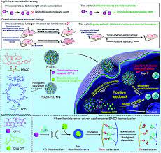Pholasin is a chemiluminescent probe that can be used for detection of extracellular ros from immune 14 , 15 , 16 , 17 , 18 , 19 ) as probes for detection of cellular release of ros. Chemiluminescence For Bioimaging And Therapeutics Recent Advances And Challenges Chemical Society Reviews Rsc Publishing