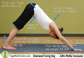 Yoga Maitri 12 Tips For Improving Downward Facing Dog Downward Facing Dog Yoga Center Leg Press