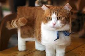 Except, you don't have to actually read them, which is just fine because who has the time to read? Weird But Funny Creations Made While Editing That Actually Make People Laugh Part 6 Khaskhabar Com