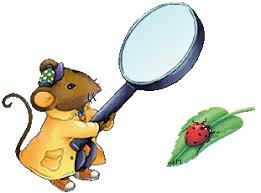 RÃ©sultat de recherche d'images pour "gifs animÃ©"