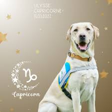 École Chiens Guides Paris