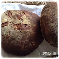 Recette Levain Naturel B Comme Nature