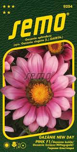 Image result for foto Gazánie