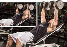 So when you plan your workouts for chest day in the future, make sure the upper pecs are where you start. 7 Commandments Of Upper Chest Workouts For Bigger Pecs