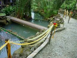 It has now been been announced for live worlds. Dusun Garden Fairies Added 12 New Dusun Garden Fairies Facebook