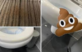 Guide for caregivers on moving people safely: Tesco Delivery Driver Defecates All Over Bathroom In Eltham News Shopper