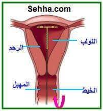 دكتورة نساء المنشورات فيسبوك