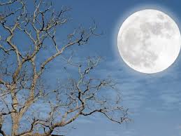 Nehmen wir die starken und. Vollmond Blue Moon Und Mondfinsternis An Einem Tag