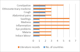 Image result for Astripomoea hyoscyamoides