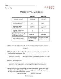 We compare and contrast meiosis vs mitosis to help you understand the two forms of cell division. Mitosis Vs Meiosis Worksheet Answers Promotiontablecovers