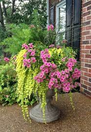 You can use them on the side, like a shield that guides. 25 Die Besten Ideen Fur Eine Bluhende Veranda Fur Ihr Zuhause 2019 Porch Plants Front Porch Flower Pots Porch Flowers