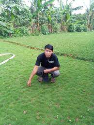 Tukiang taman murah jasa pasang taman rumput. Tukang Taman Di Bandung Buah Batu Cibeunying Kaler Cibeunying Kidul Cibiru Cicendo Cidadap Cinambo Jasa Pembuatan Taman Jasa Pasang Rumput Taman Jasa Renovasi Taman 0821 8843 4211 Agung Indah Taman