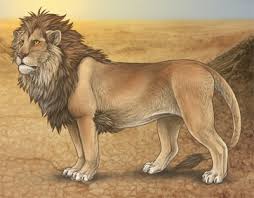 Lionesses are the backbone of a strong pride. Lion Lioden Wiki Fandom