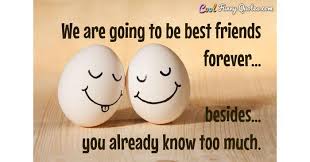 Following are the best friendship quotes and sayings with images. We Are Going To Be Best Friends Forever Besides You Already Know Too Much