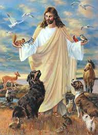 Prayer for a sick pet heavenly father,please help us in our time of need,you have made us stewards of (name of pet). 25 Encouraging Bible Verses For The Loss Of A Pet Lynn Dove S Journey Thoughts