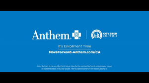 Anthem blue cross life and health insurance company. Anthem Blue Cross Home Facebook
