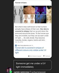 We Have Stripes, Too + 50 Quick Body Facts - Youtube