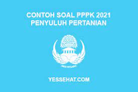 We did not find results for: Contoh Soal Pppk Penyuluh Pertanian 2021 Dan Kunci Jawabannya