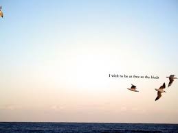 i wish to be as free as the birds it s in one s spirit just happy quotes bird quotes love me quotes