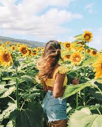 Pin On F L O W E R S