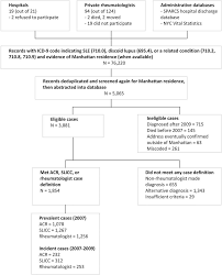 flow chart showing the manhattan lupus surveillance program