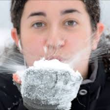 Lisa Appelbaum (@PhotogrByLisa)